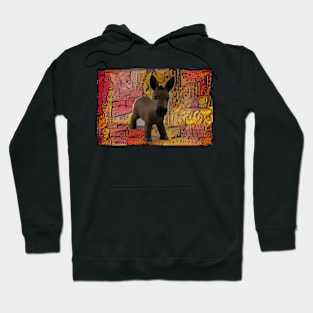 Donkey Floyd Hoodie